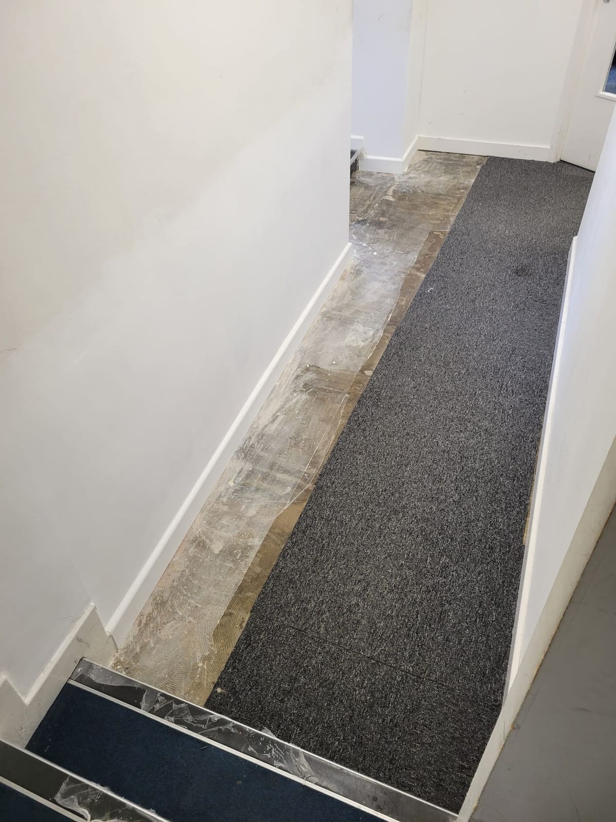 Architrave & skirting — after damp remedial works
