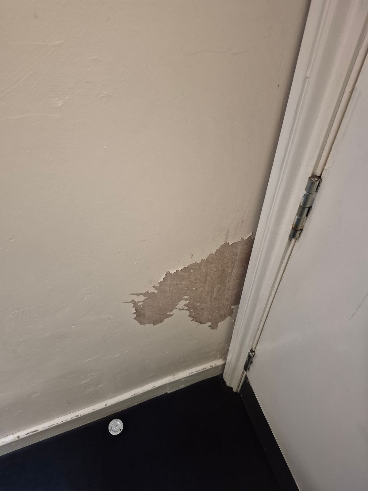 Corridor corner — before damp remedial works