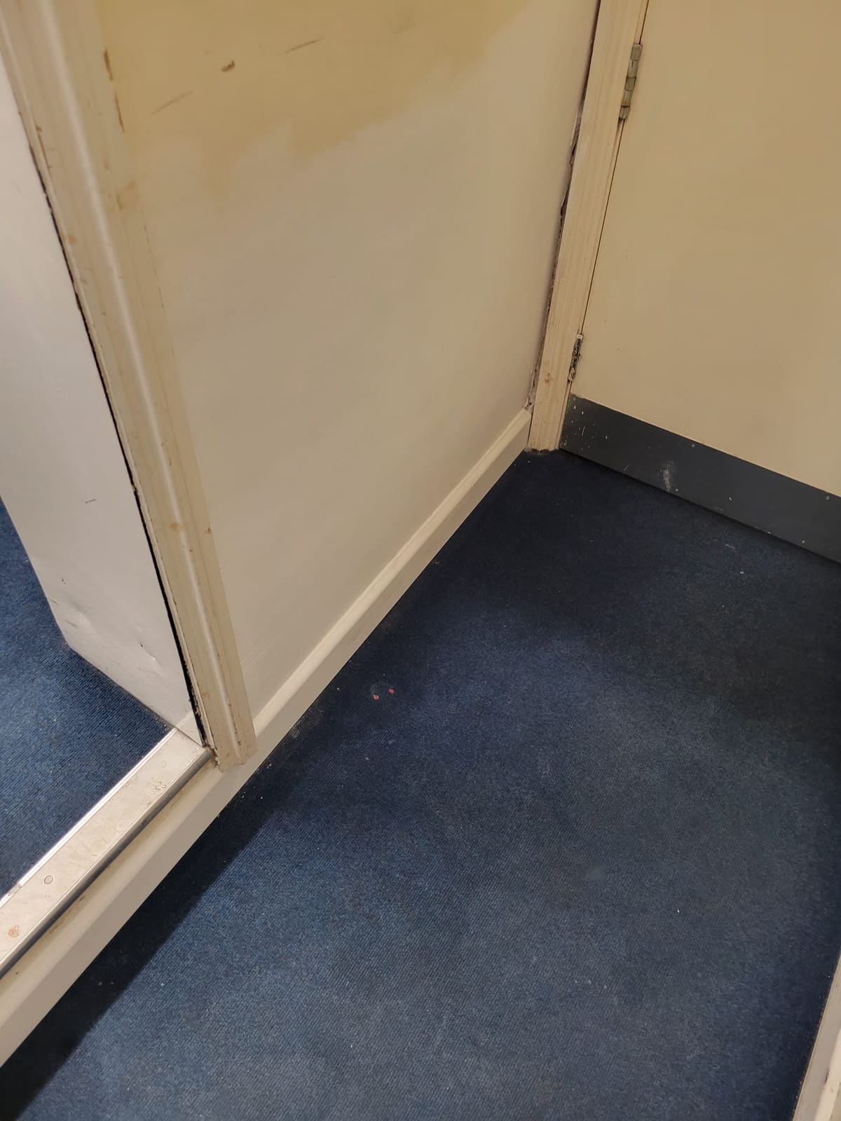 Skirting & flooring — after damp remedial works