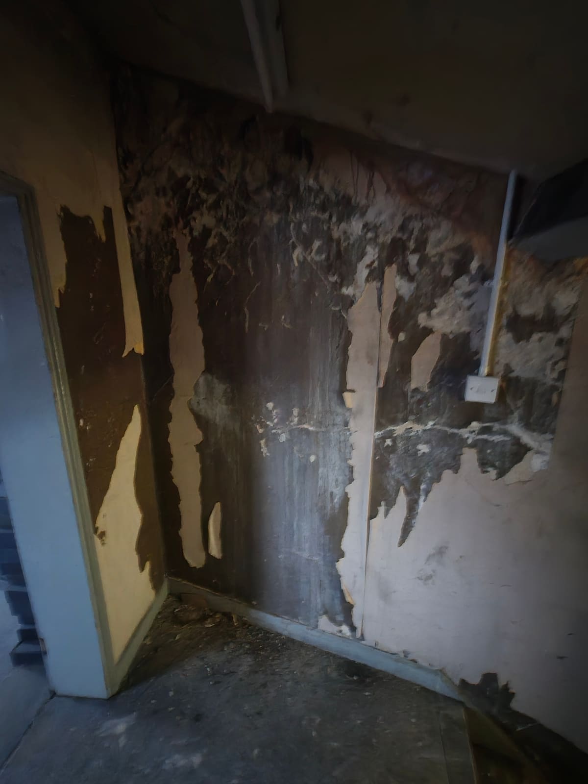 Skirting & flooring — before damp remedial works