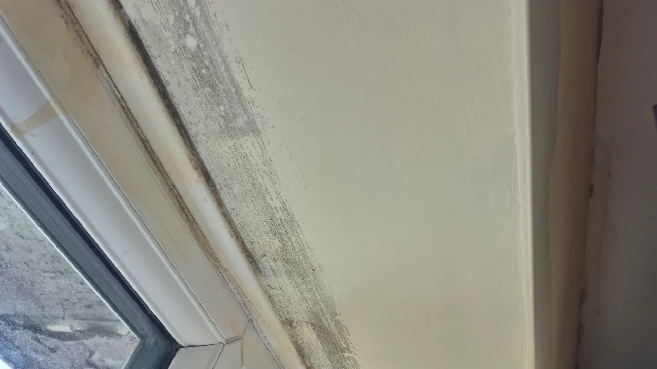Mould Around Windows: Why It Starts There First