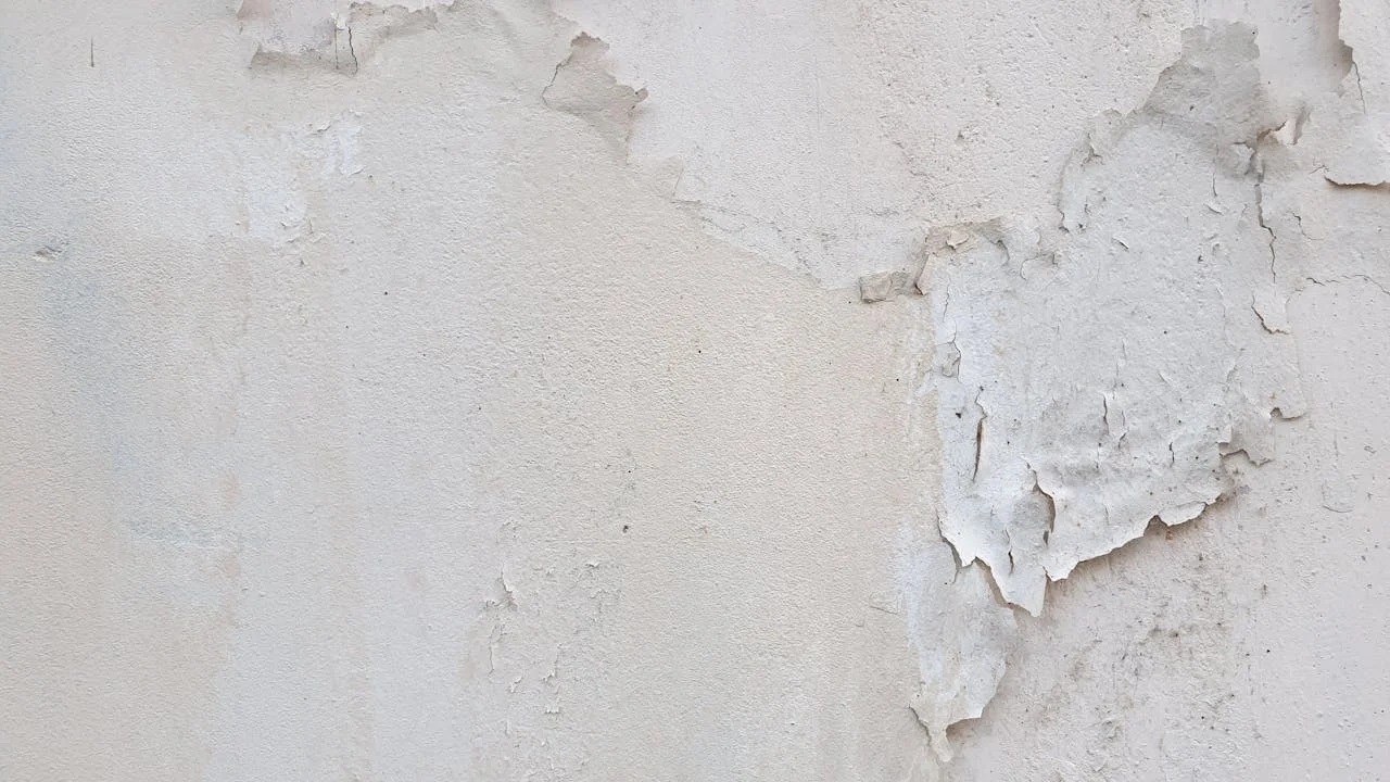 Rising vs Penetrating vs Condensation Damp — How to Tell the Difference