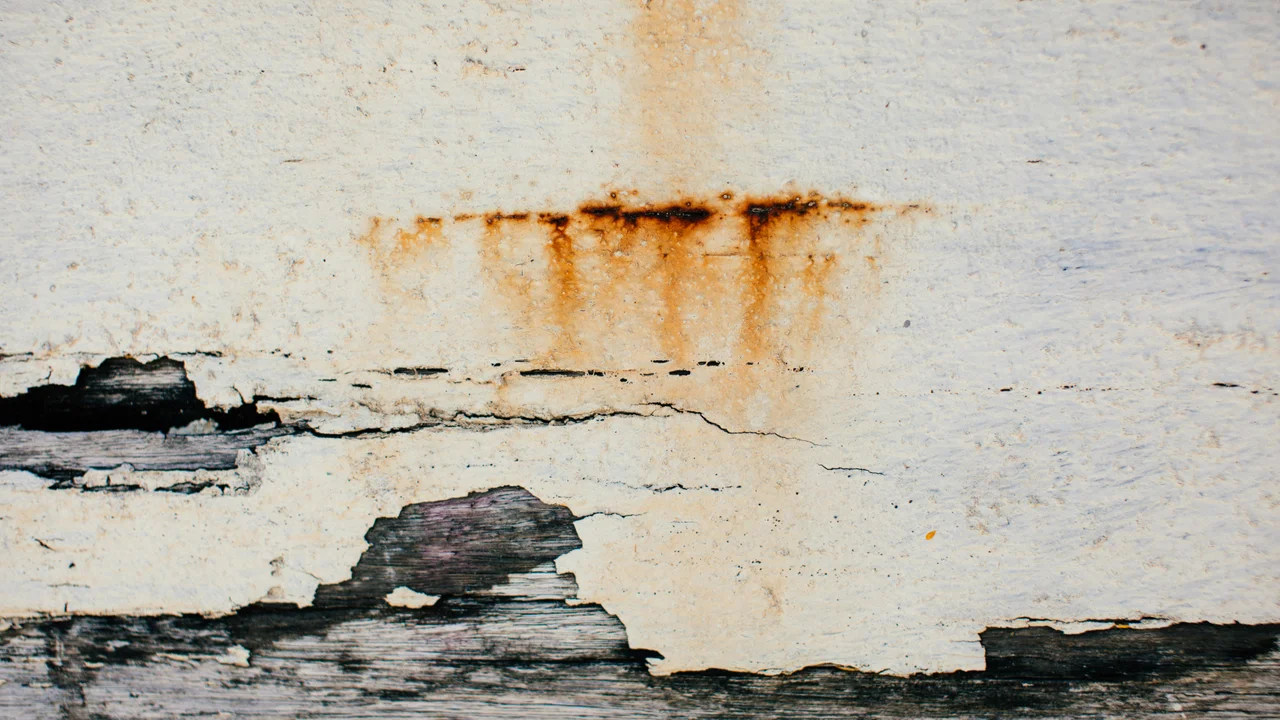 Brown water stain spreading on ceiling, penetrating damp water ingress