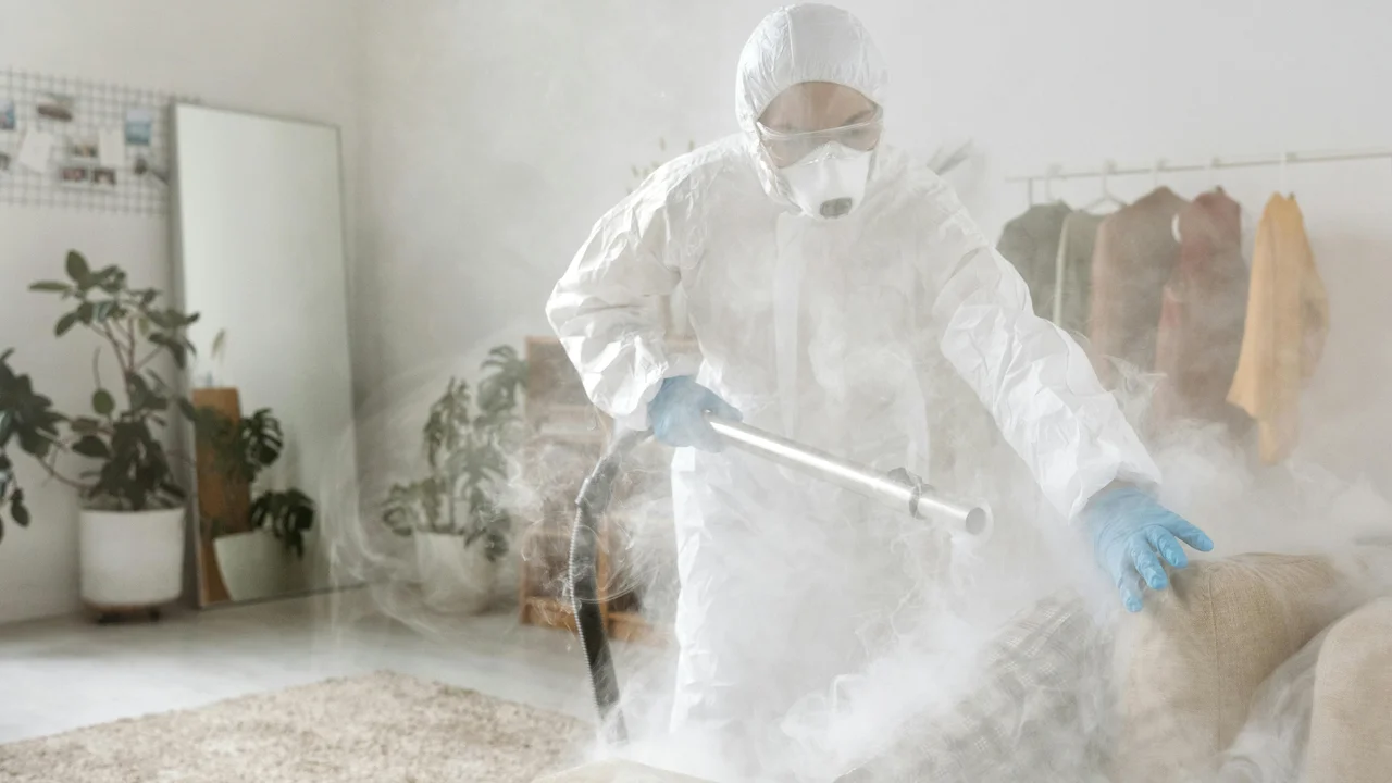 Person in FFP3 respirator and gloves cleaning mould off wall