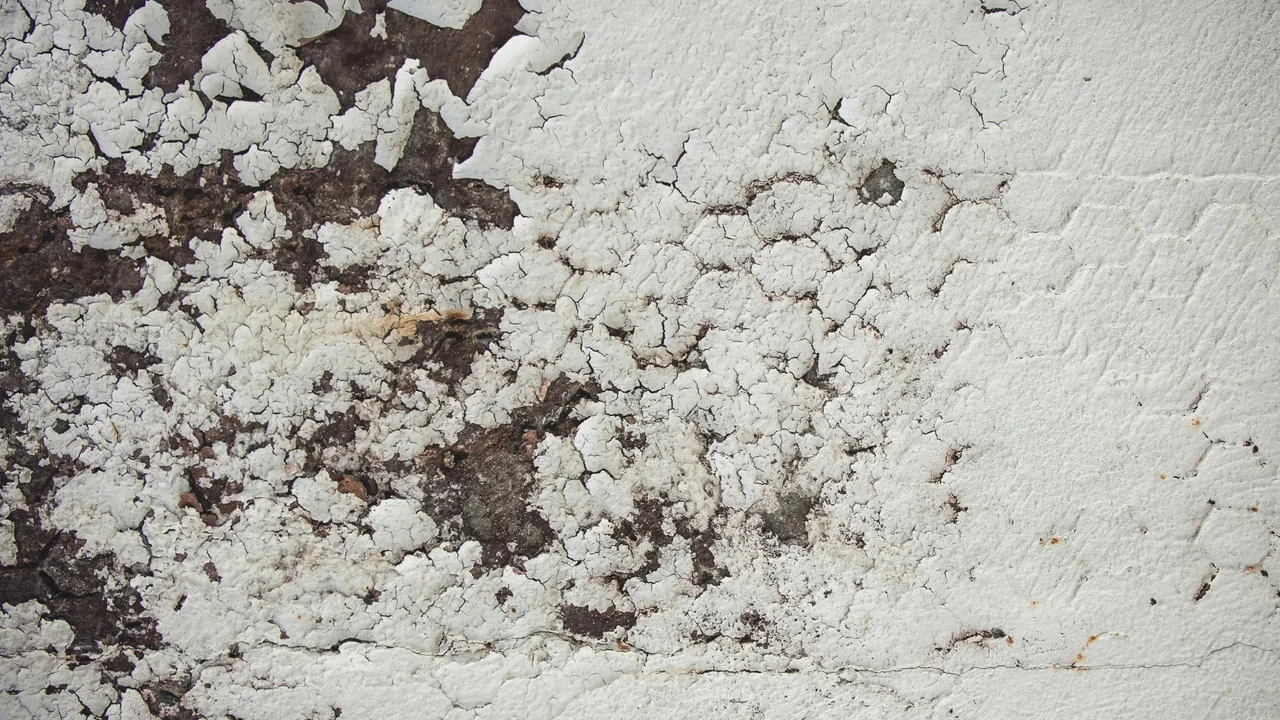 Extreme close-up of black mould texture and patches on plaster wall