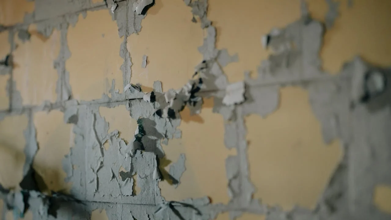The True Cost of Ignoring Mould — A Landlord's Guide
