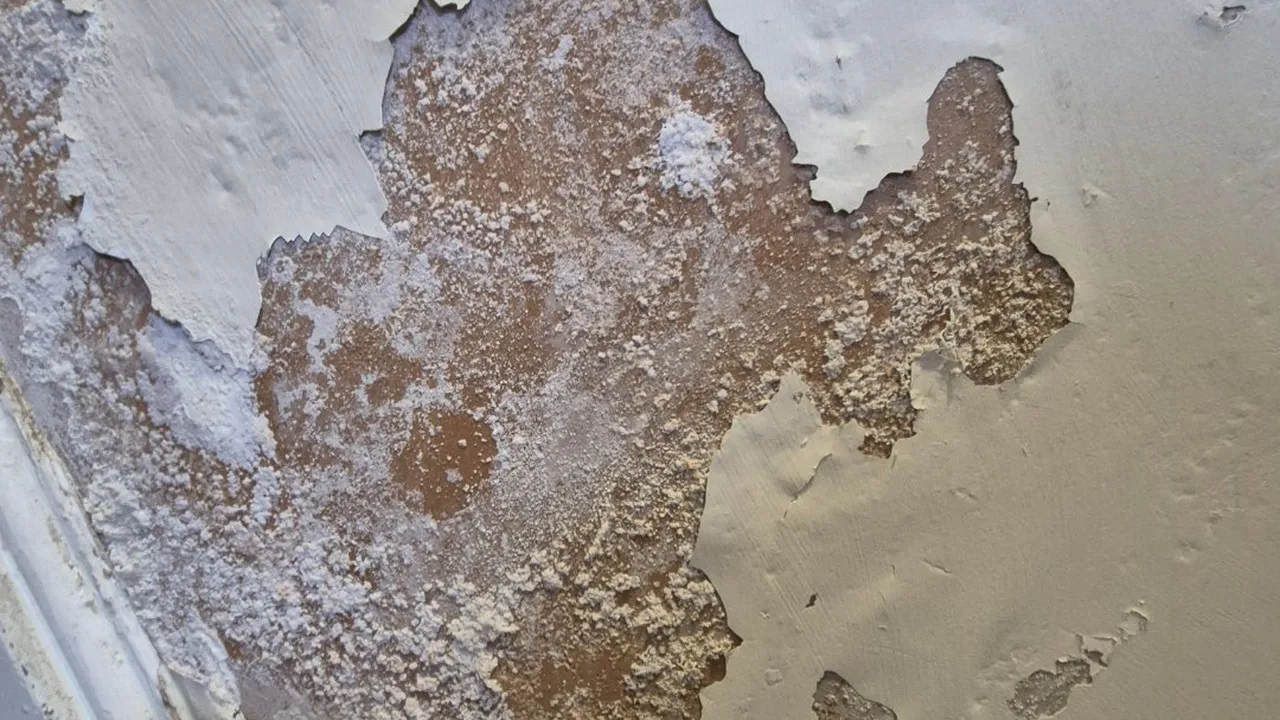 Why Is Salt Coming Through My Walls? Efflorescence Explained